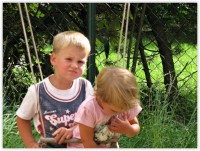 /album/fotogalerie-kola-2014/kola-2014-trebon-035-jpg/